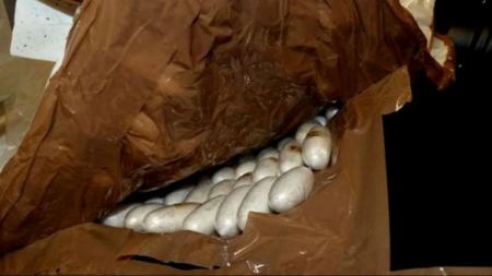 كندا ... ضبط طرد بريدي يحتوي على مخدرات بقيمة 450 الف دولار امريكي