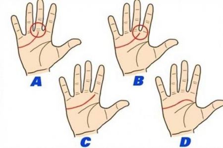 دراسات ... حقائق كثيرة يكشفها خط الحياة على أياديكم !