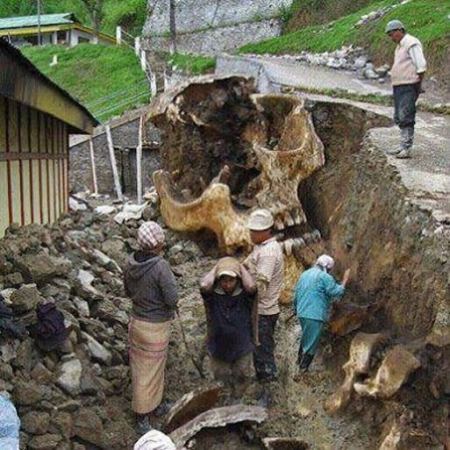 كم يقدّر عمر البشرية ؟