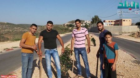 برطعة | مبادرة لزراعة الاشجار في حي الخربة