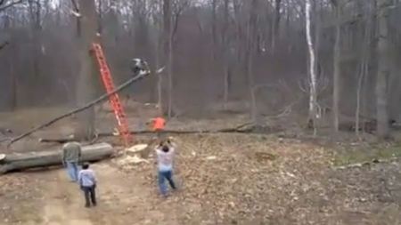 فيديو : رجل يقص شجرة فانتقمت منه