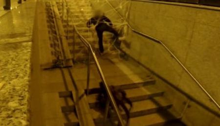 فيديو : عنكبوت ضخم ارعب الكثيرين 