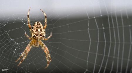 باحثون ... شبكة عنكبوت يمكنها التقاط طائرة أثناء سقوطها !