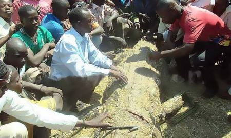 من اوغندا ... رجل يقتل تمساحاً بعد التهامه زوجته